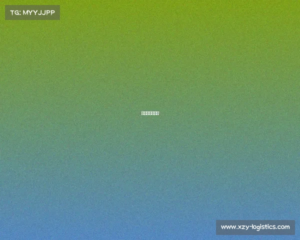 超大型体育赛事