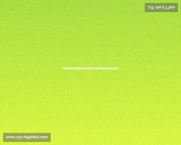 活塞赛事蜥蜴皮球杆—底特律活塞队新赛季征程热烈开启球员斗志昂扬球迷满怀期待