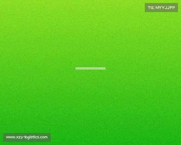 国内综合格斗赛事巅峰对决英雄争霸荣耀启幕